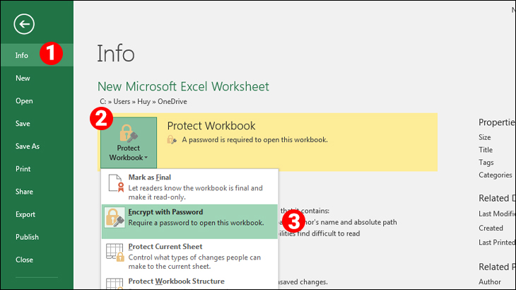 Chọn File > Info > Protect Workbook > Encrypt with Password