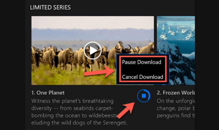 Từ menu thả xuống, hãy chọn Pause Download để tạm dừng tải xuống hoặc Cancel Download để hủy bỏ nó.