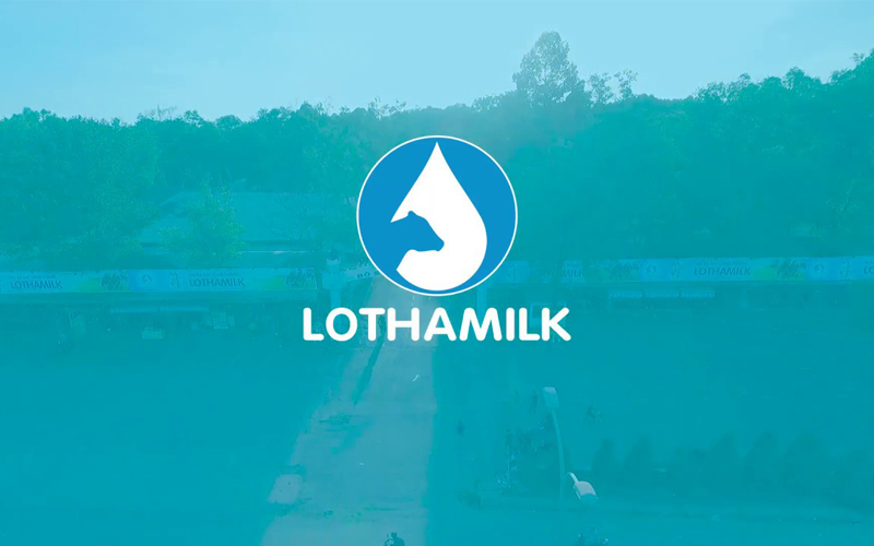 Tiền thân của Lothamilk là công ty Liên doanh Bò sữa Đồng Nai